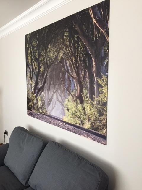 Dark Hedges Cottage Ballycastle Luaran gambar